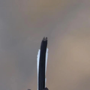 電車が止まっちゃった