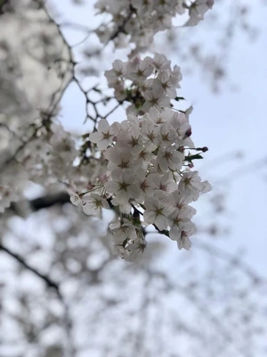 ご馳走様でーす😋