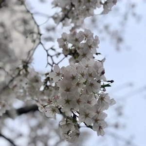 ご馳走様でーす😋