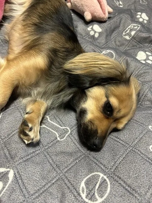 出来ないよー😭