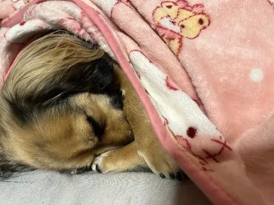 昼職始めようかと