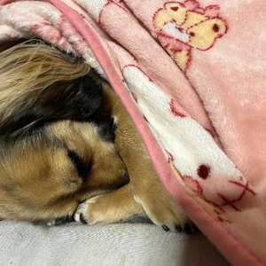 昼職始めようかと