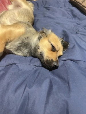 これだけ涼しいのに。。