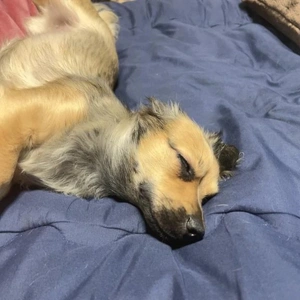 これだけ涼しいのに。。