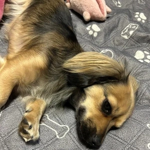 体調が(´；ω；｀)