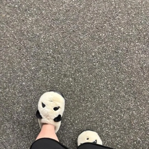 リクエスト⭕️🐧☂️