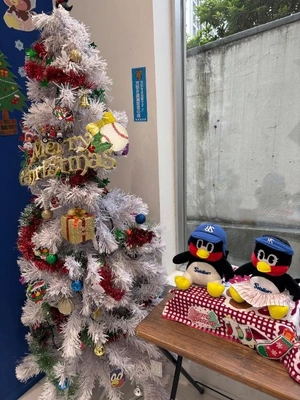 なんだかんだお久しぶりです😇🦷💓