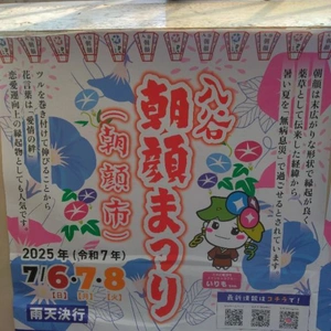 本日から💮