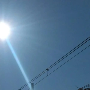 おはようございます🦋