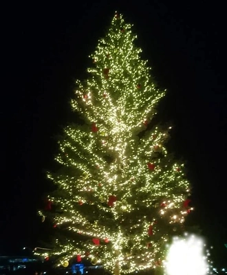 ヤリ残しはないかしら？