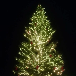 ヤリ残しはないかしら？