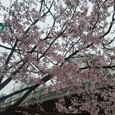 まだまだ・・・❤️