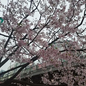 まだまだ・・・❤️