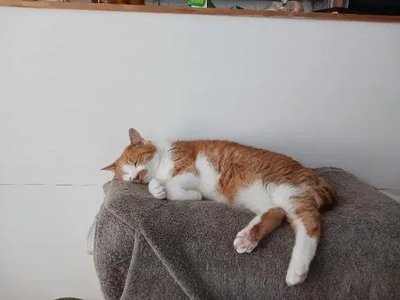 今日もあつい!!!!