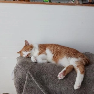 今日もあつい！！！！