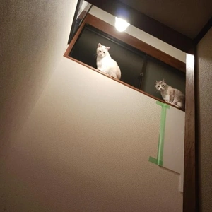 今日もあつい！！