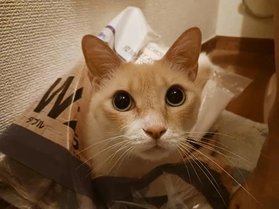 お知らせ⋆͛📢⋆