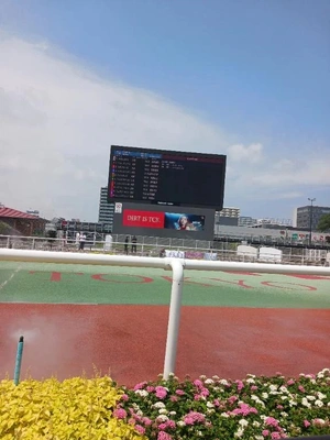 だから面白い。