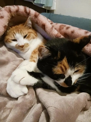 今日はゆっくり🐌