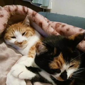 今日はゆっくり🐌