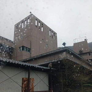 自然と遊んだ日