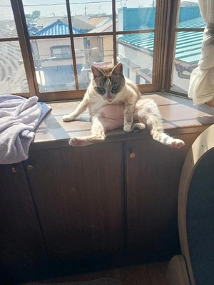 ええーっと…🤔💭