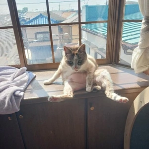 ええーっと…🤔💭