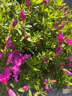 週末暑かったねー