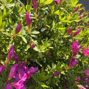 週末暑かったねー