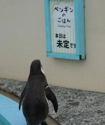 ご報告