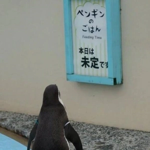 ご報告