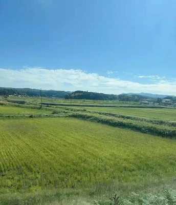 通過。