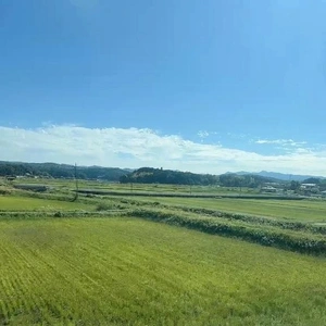 通過。