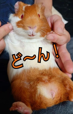 玄関でいきなりフェラに憧れるんだが🥺