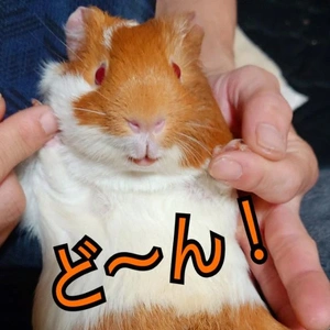 玄関でいきなりフェラに憧れるんだが🥺