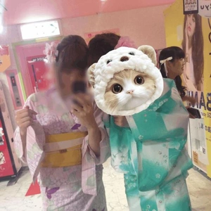出勤しました〜
