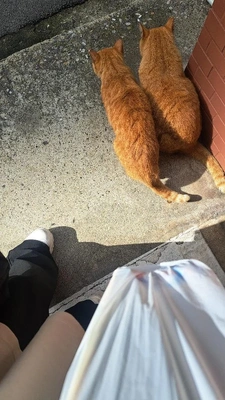 出勤しました🧸
