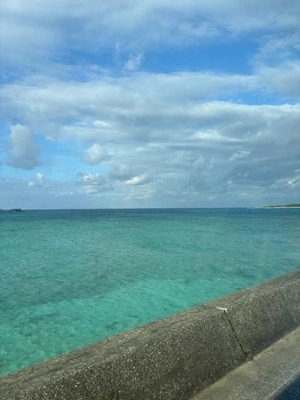 いますよ〜🫶🏻