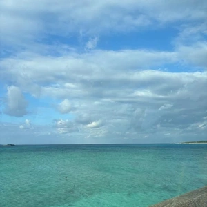 いますよ〜🫶🏻