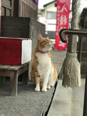 心配だな、、、