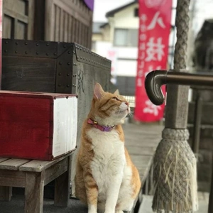 心配だな、、、