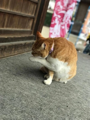 わーい🙌明日ラスト枠ご予約ありがとう❤️