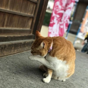 わーい🙌明日ラスト枠ご予約ありがとう❤️