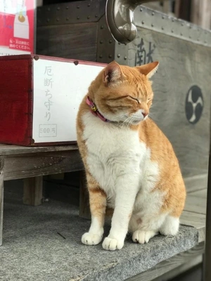 努力遠足(๑•ૅㅁ•๑)