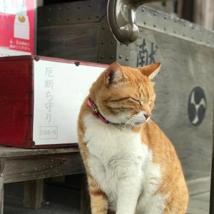 努力遠足(๑•ૅㅁ•๑)