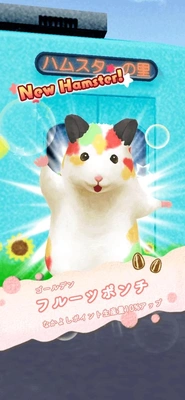 間に合いませんでした！！