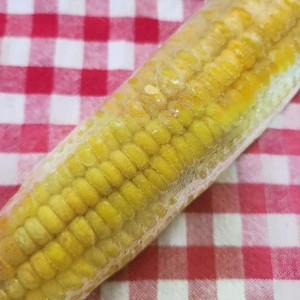 こんにちは～