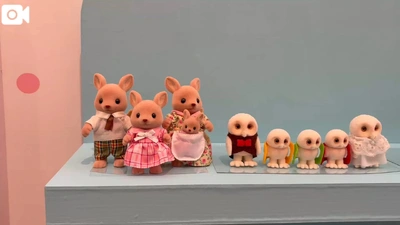 可愛すぎる✨🐰🐰🐰