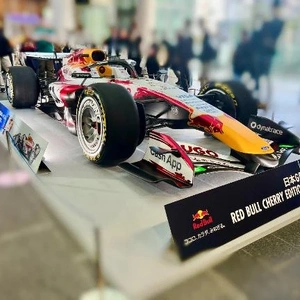 今日はちょっと特別な一日かも✨