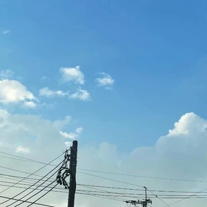 晴れてきたね☺️⛅️